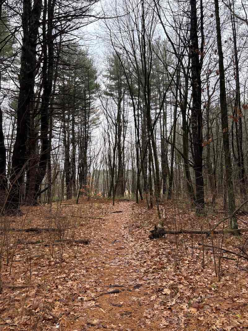walking near me in Half Moon Meadow in autumn