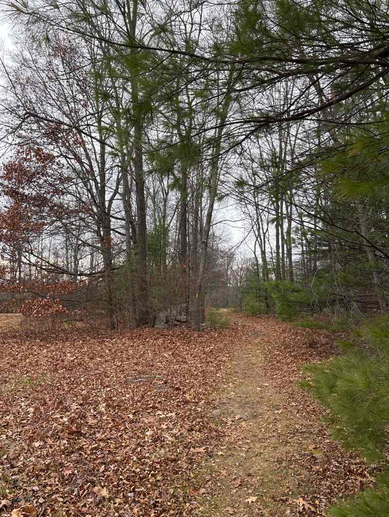 walking near me in Wright Hill Conservation Land in autumn