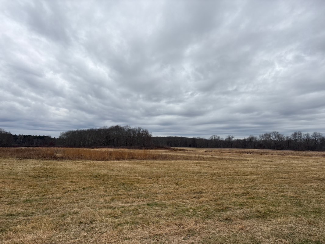 walking near me in Cow Common in autumn