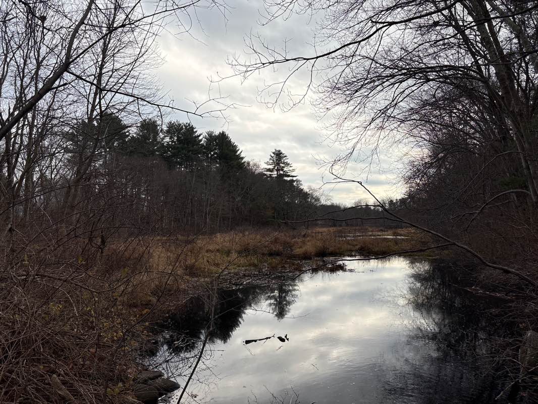 walking near me in Jenks Conservation Land in autumn