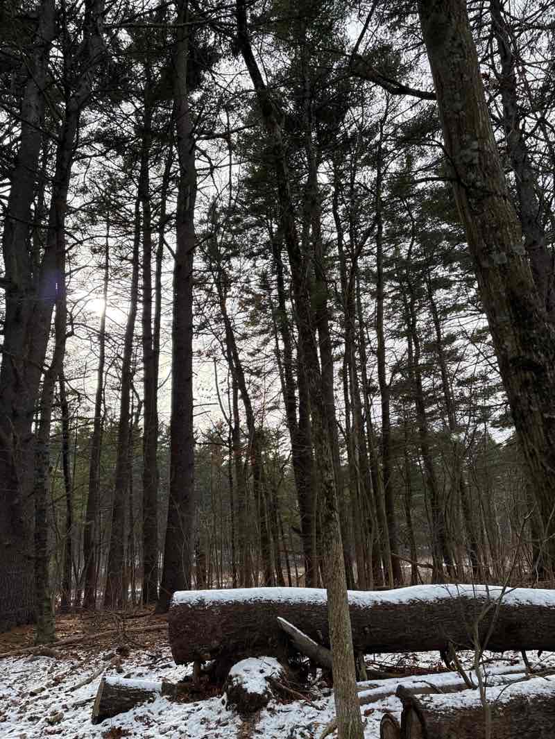 walking near me in Stow Memorial Athletic Field in winter