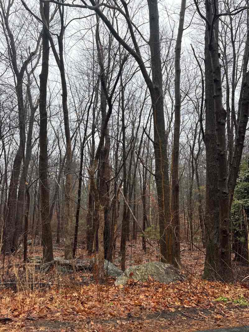 walking near me in Newtown Hill in winter