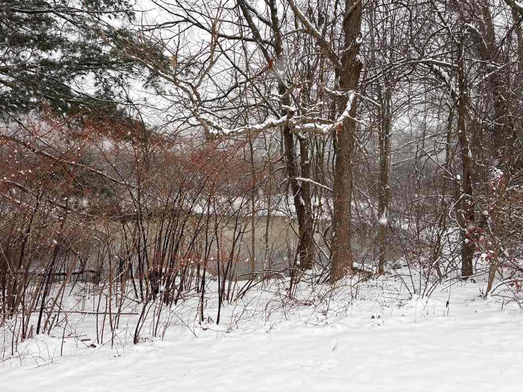 walking near me in Monsen Conservation Land in winter