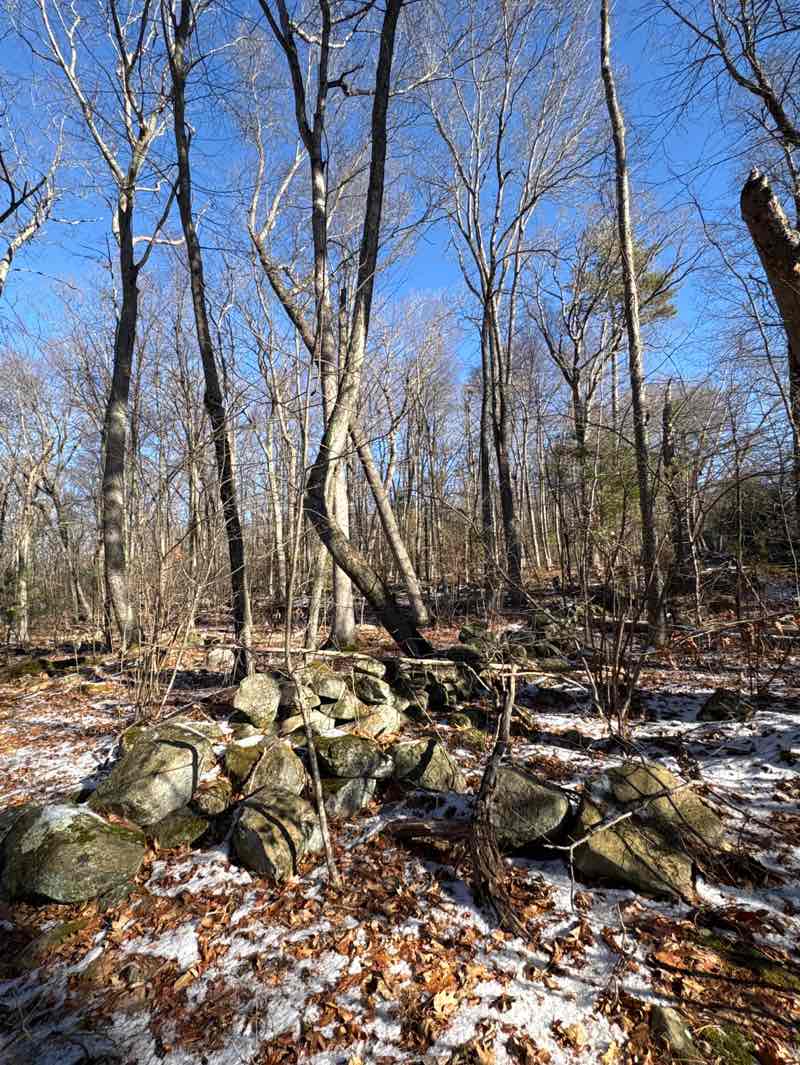 walking near me in Grassy Pond Conservation Land in winter