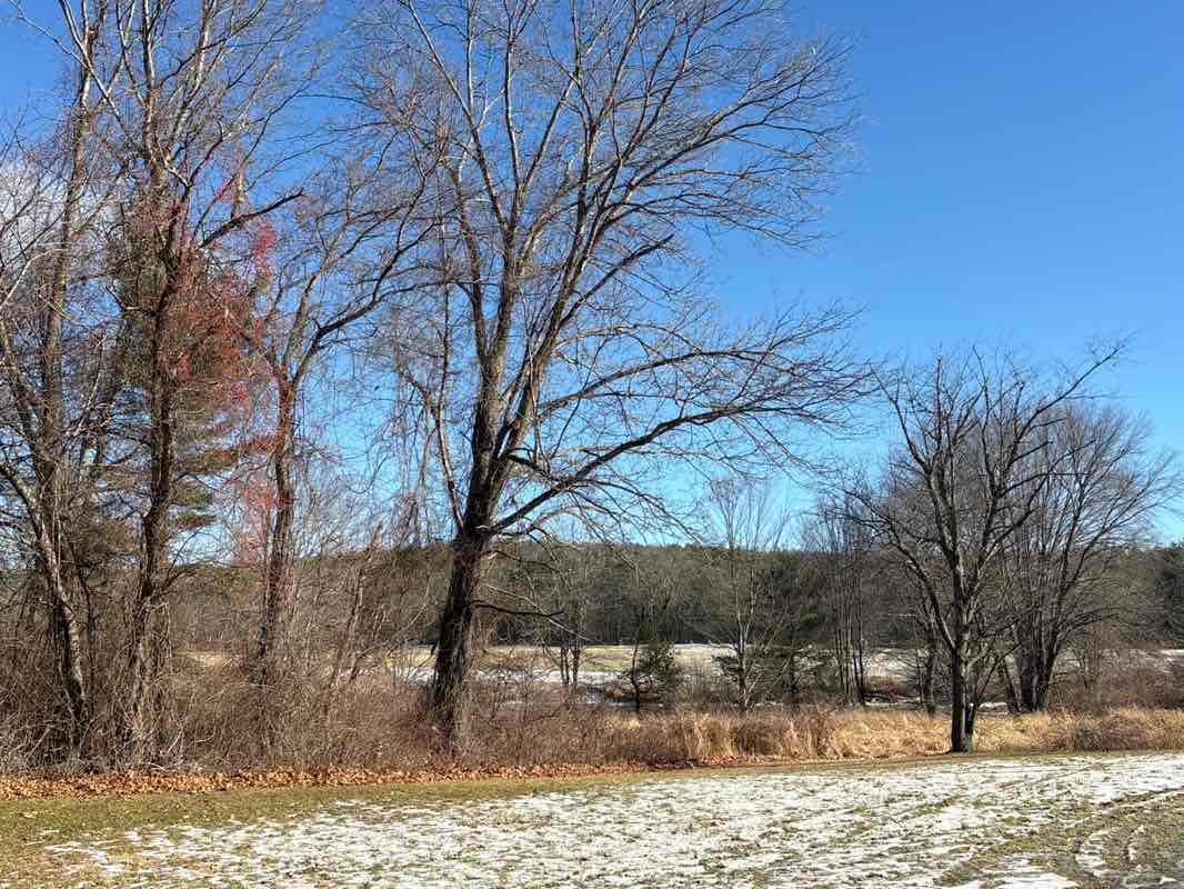 walking near me in Flerra Fields in winter