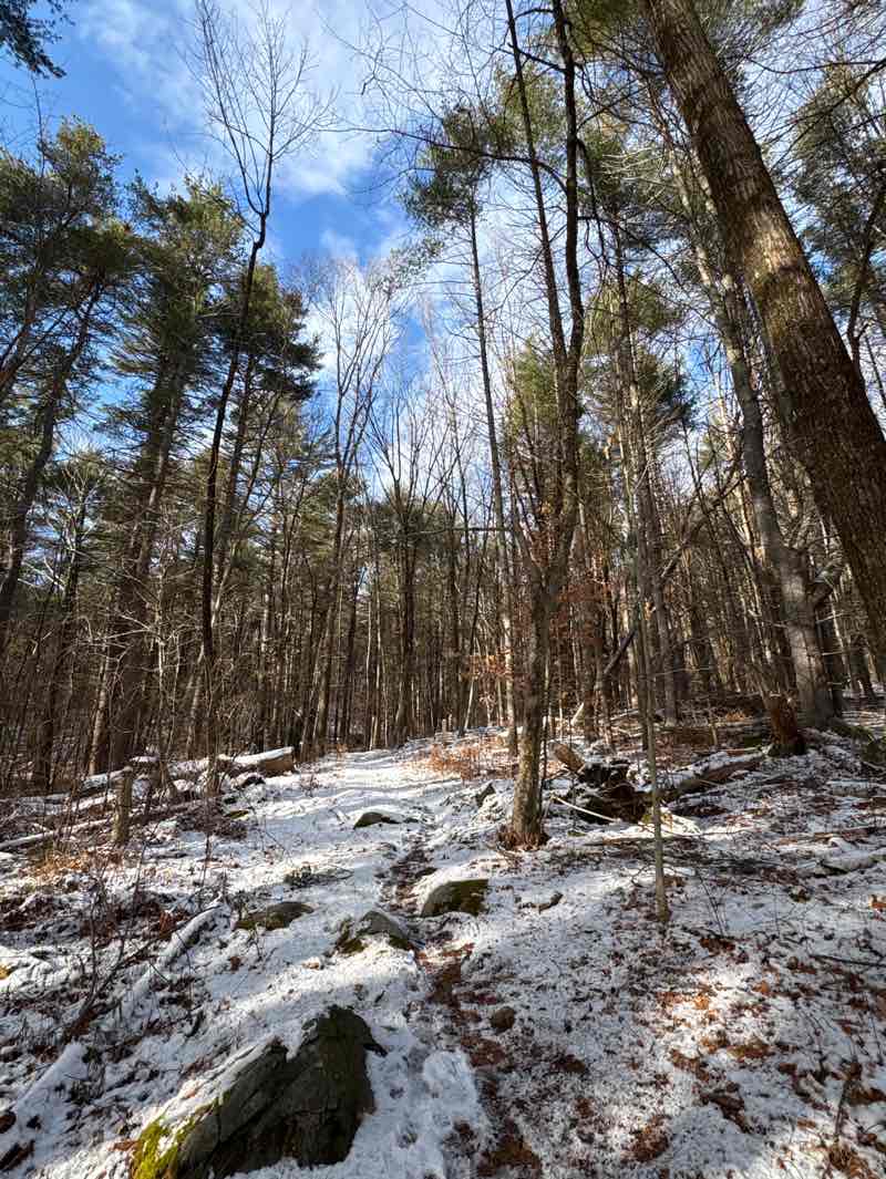 walking near me in Captain Sargent Farm Conservation Area in winter