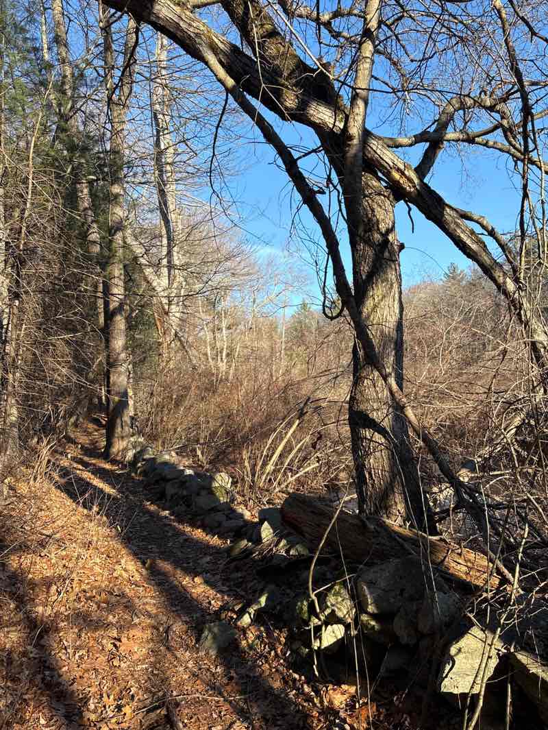 walking near me in Nashoba Brook Conservation Land in winter