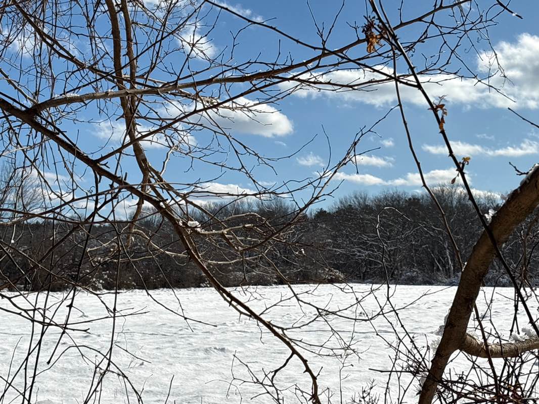 walking near me in Barrett's Mill Conservation Land in winter