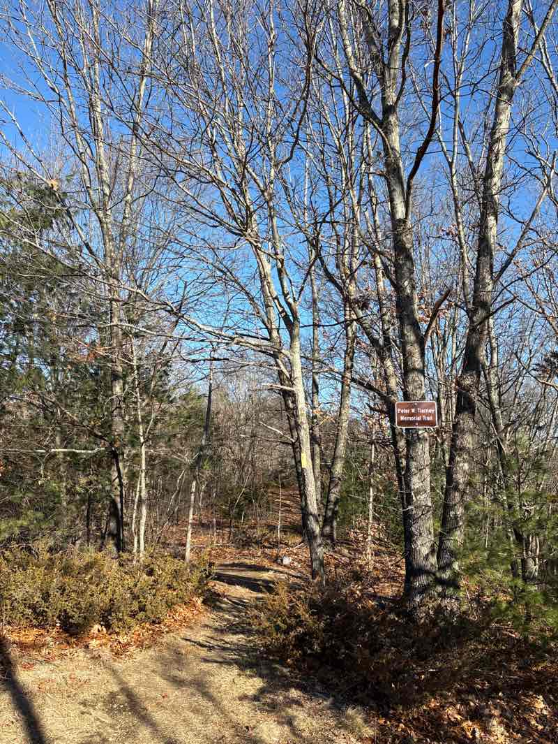 walking near me in Bumblebee Park in winter