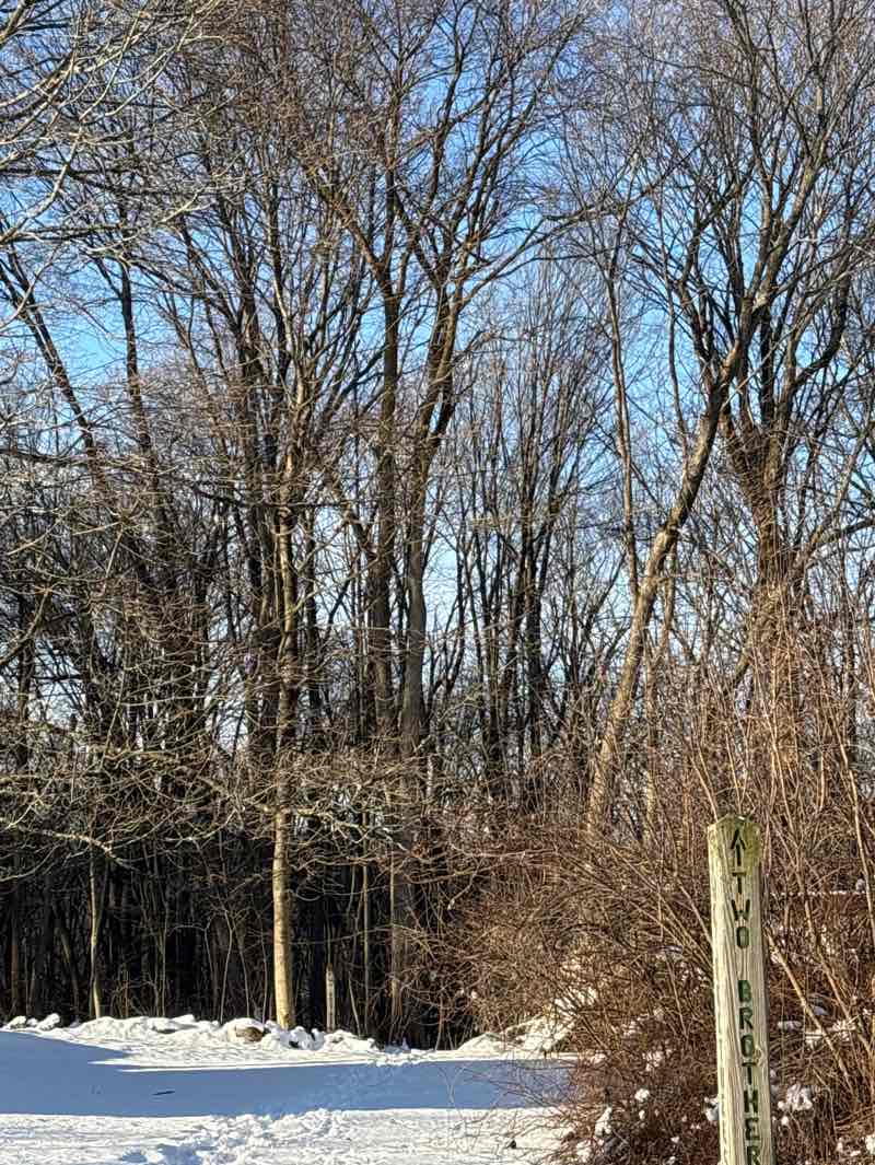 walking near me in Morgan Land in winter