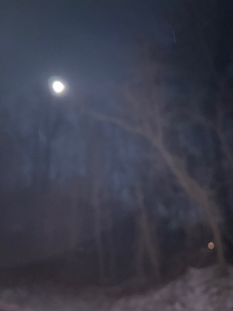 walking near me in Biotti Land in winter