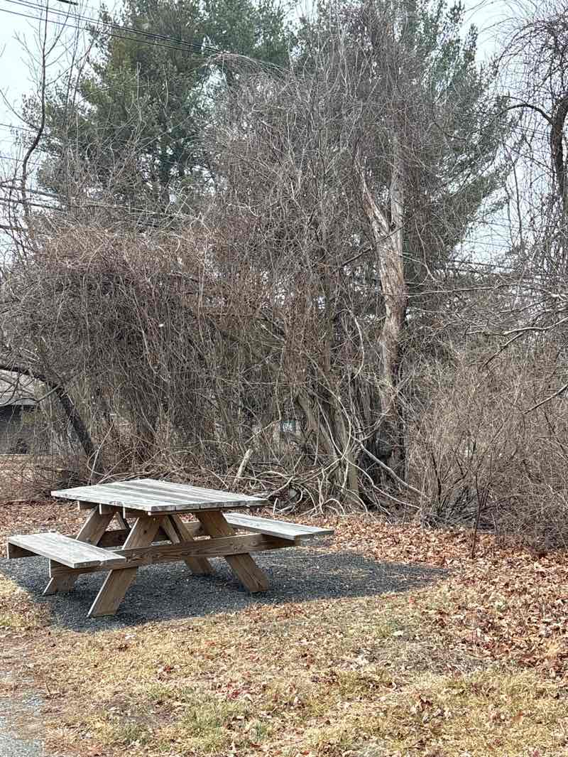 walking near me in North Acton Community Gardens in winter