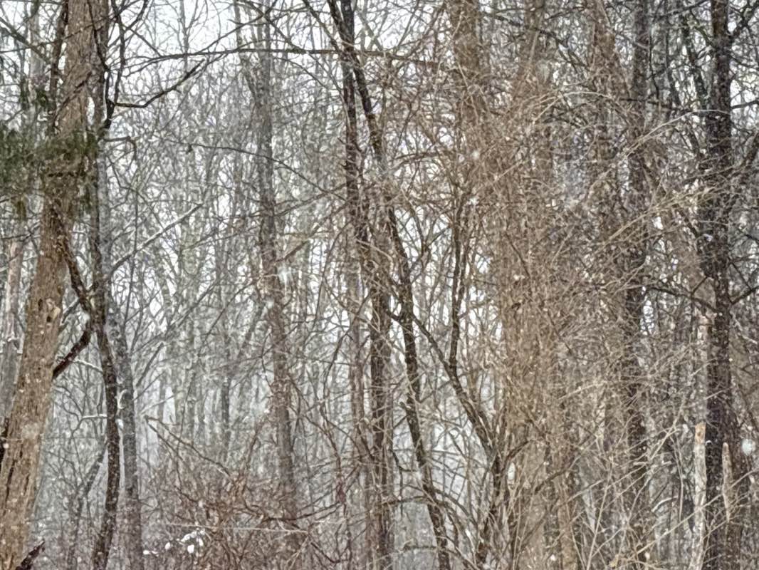walking near me in Long Lake Park in winter