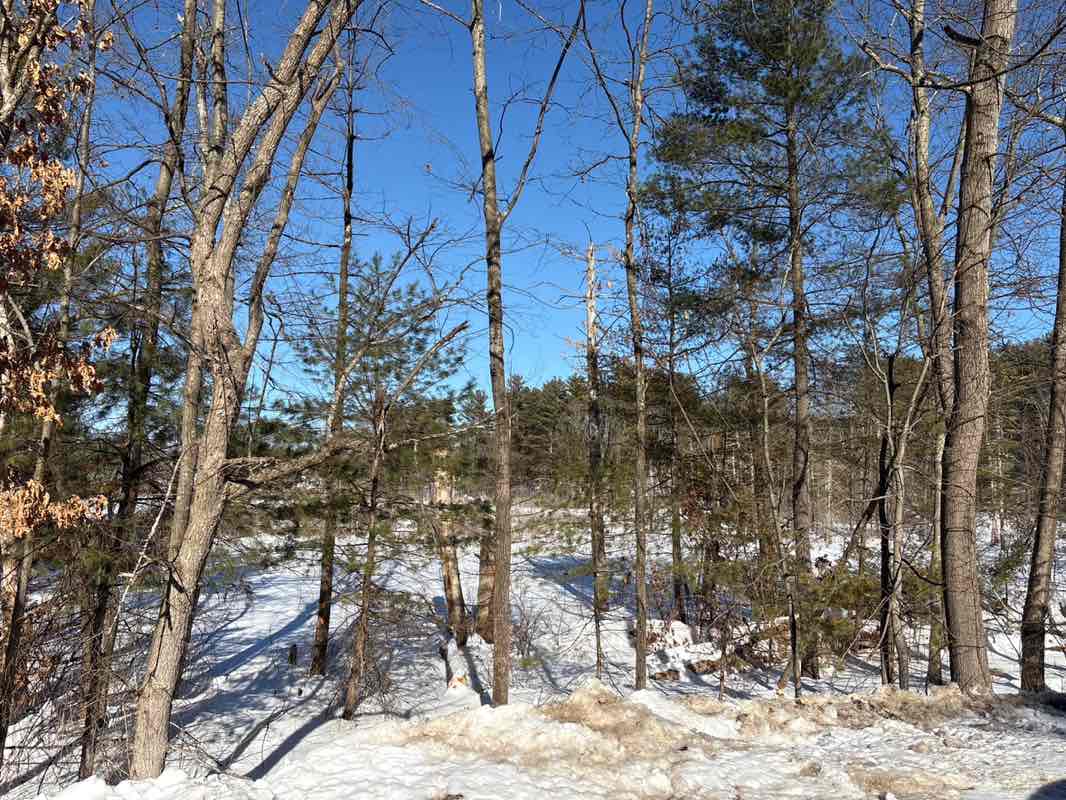 walking near me in Town Center Park in winter