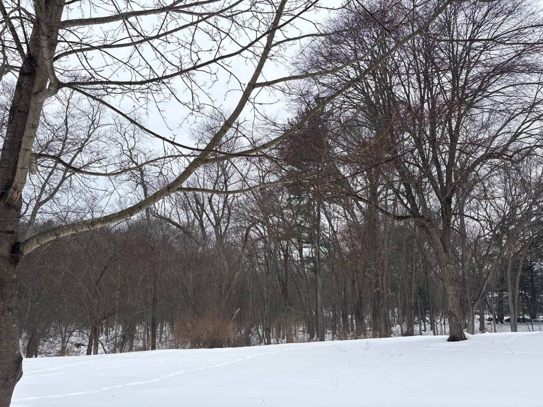 walking near me in May Field in winter