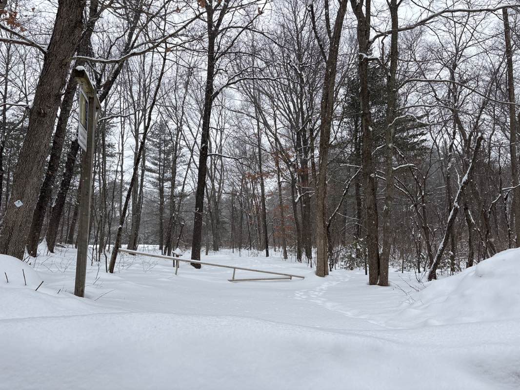 walking near me in Half Moon Meadow Brook in winter