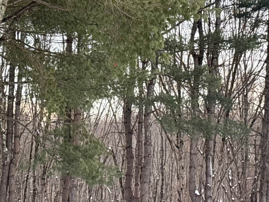 walking near me in Silver Hill Conservation Area in winter