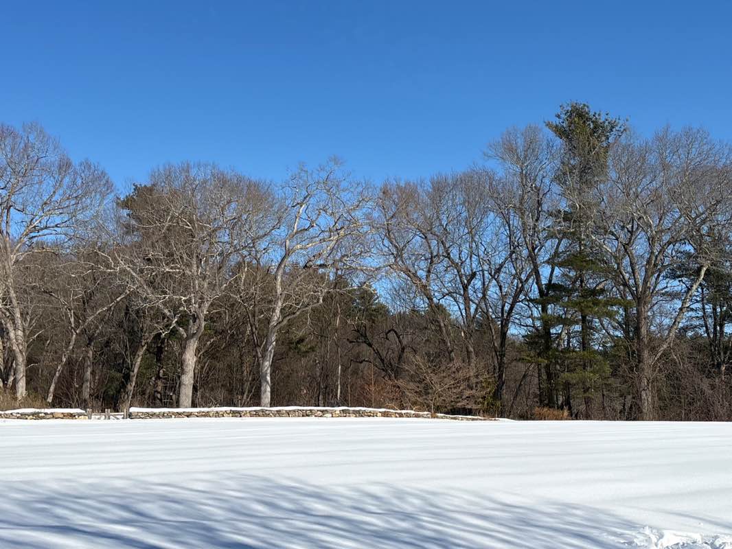 walking near me in Mattison Field in winter