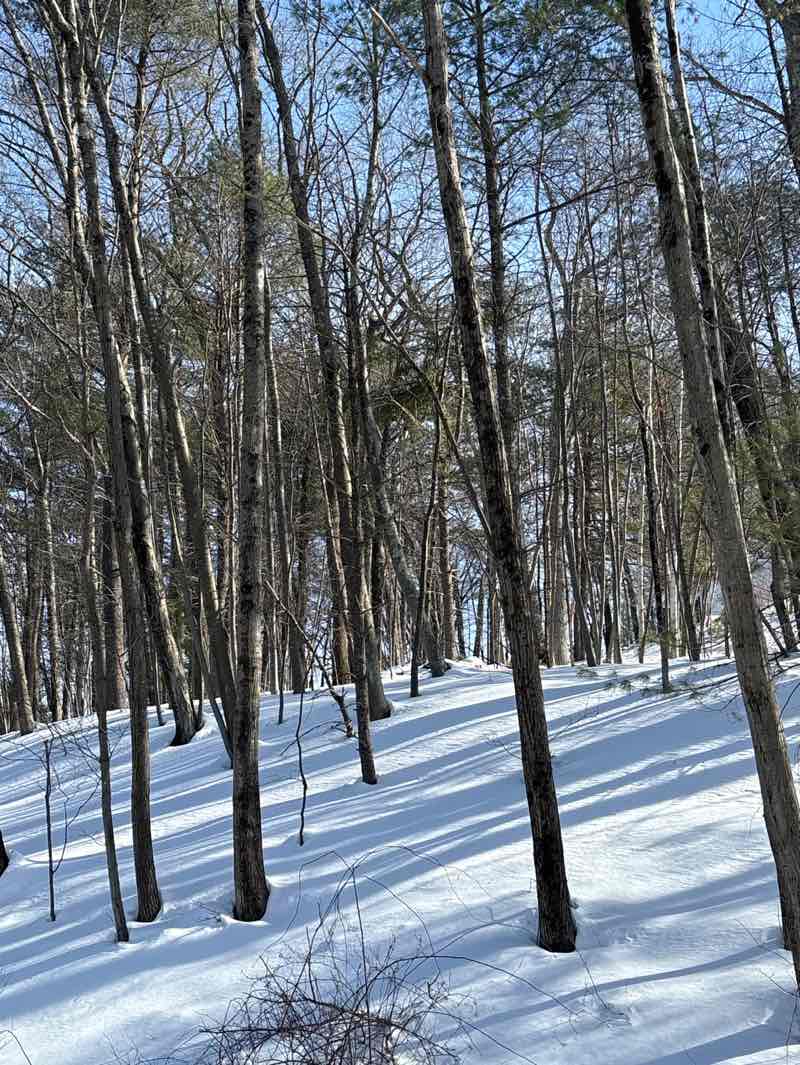 walking near me in CLCT in winter