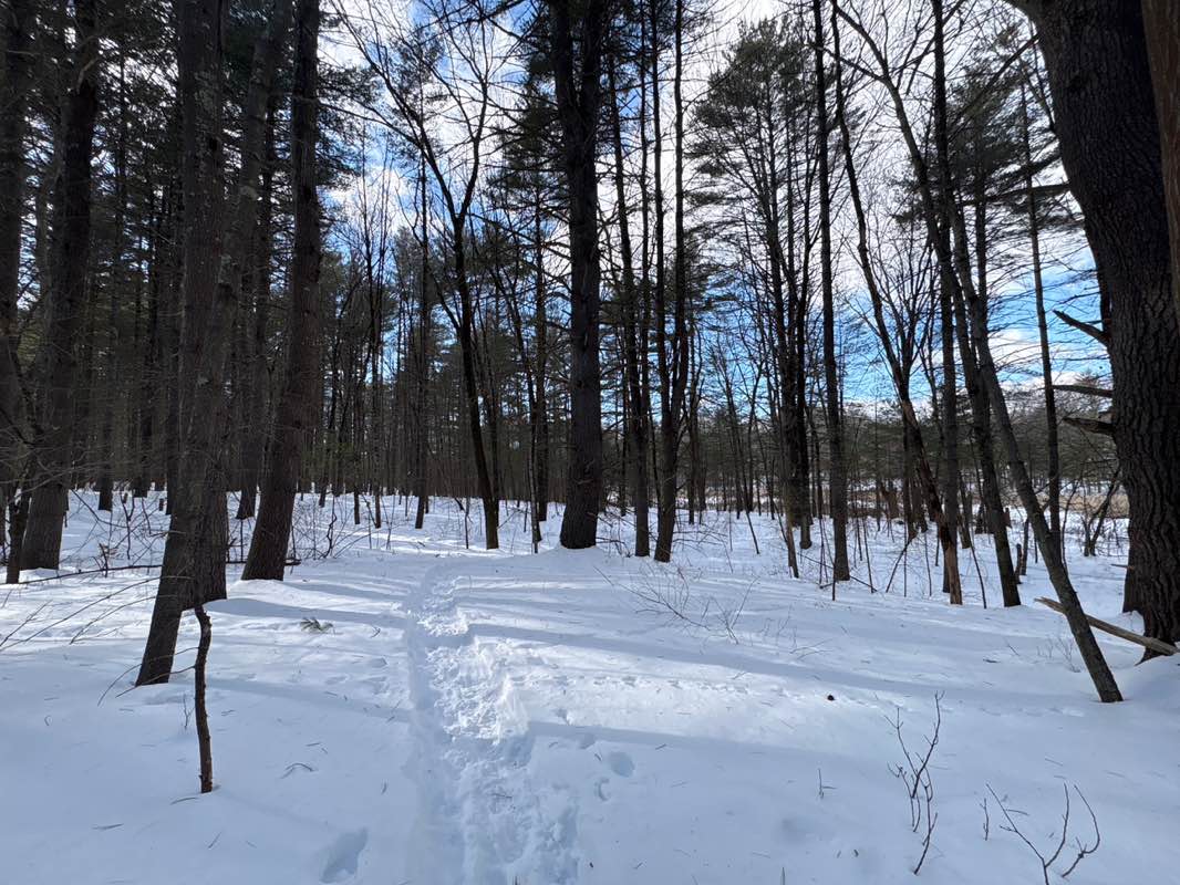 walking near me in Dunn Conservation Land in winter