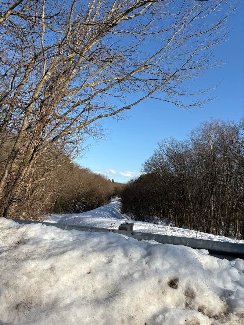 walking near me in Schoenfield Property in spring