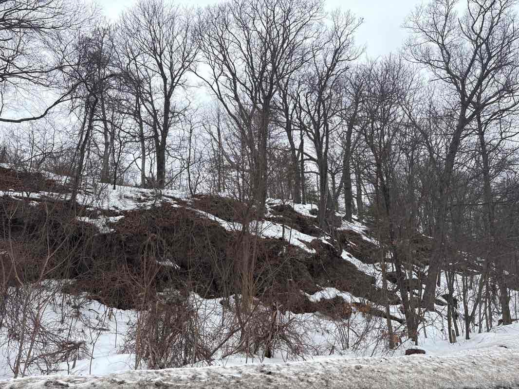 walking near me in Barrett Land in winter