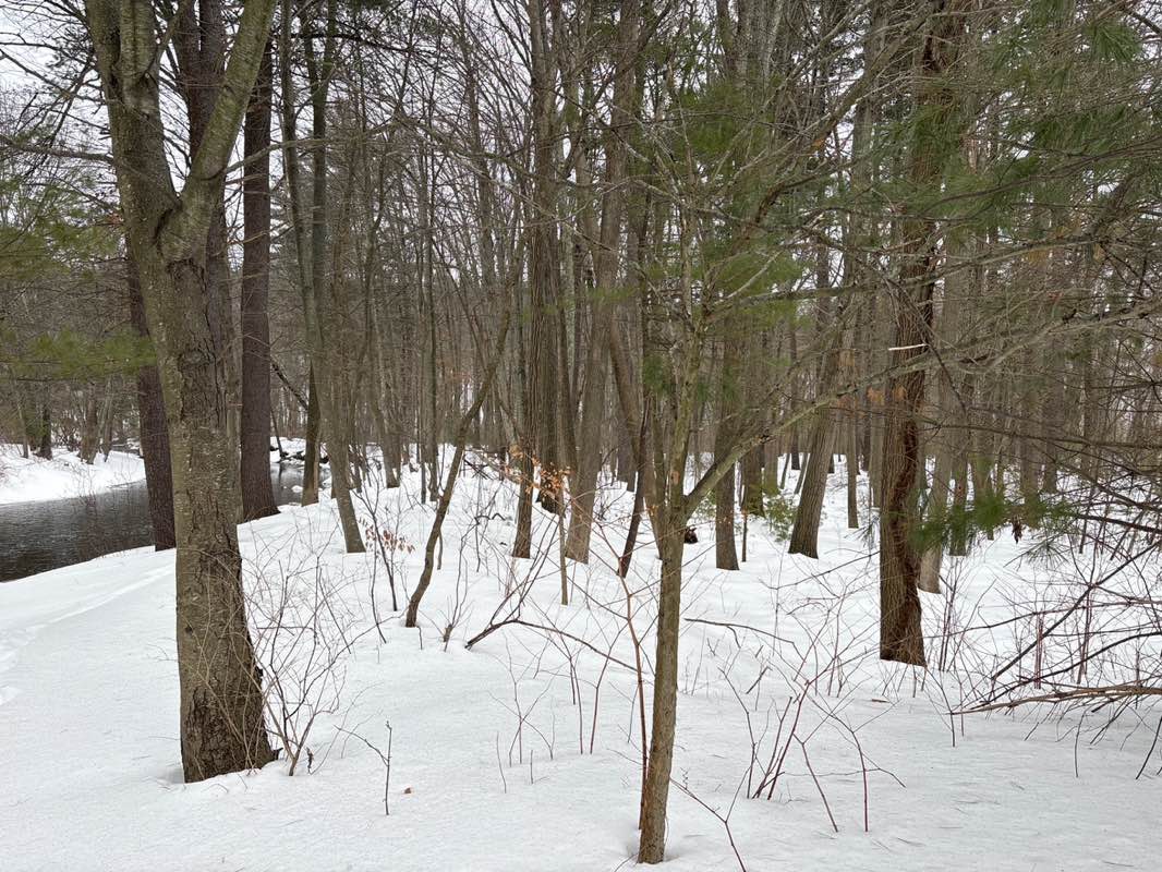 walking near me in Acton Canoe Launch in winter