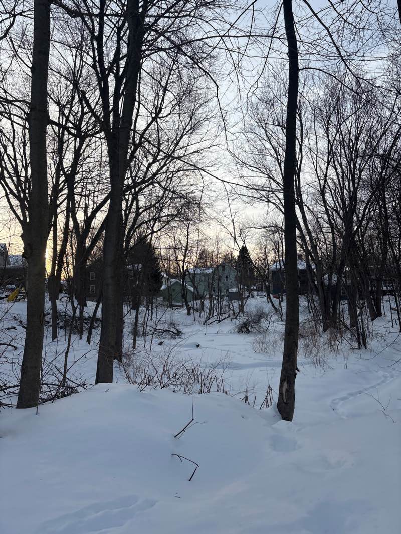 walking near me in Walcott Street Conservation Area in winter