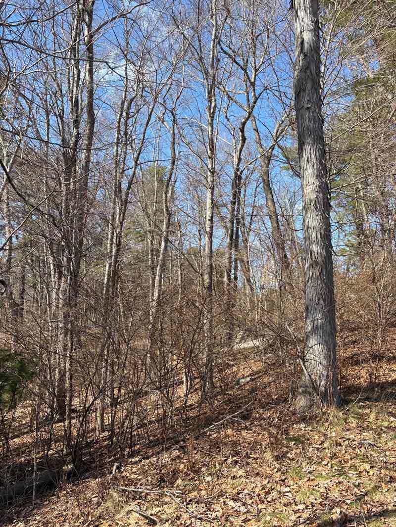 walking near me in Terry Land in spring