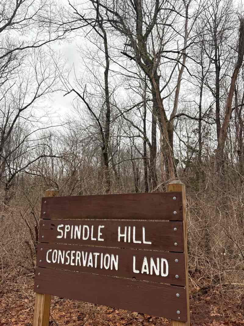walking near me in Spindle Hill in spring