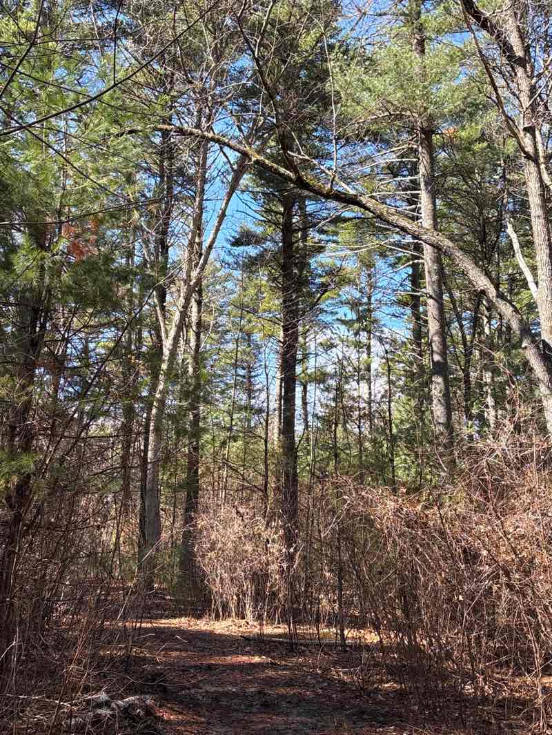 walking near me in Leggett in spring