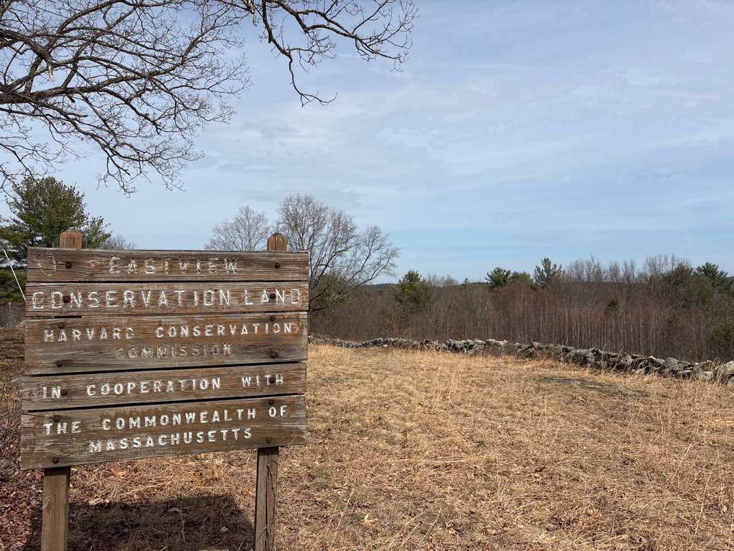 walking near me in Eastview (Elwell) Land in spring