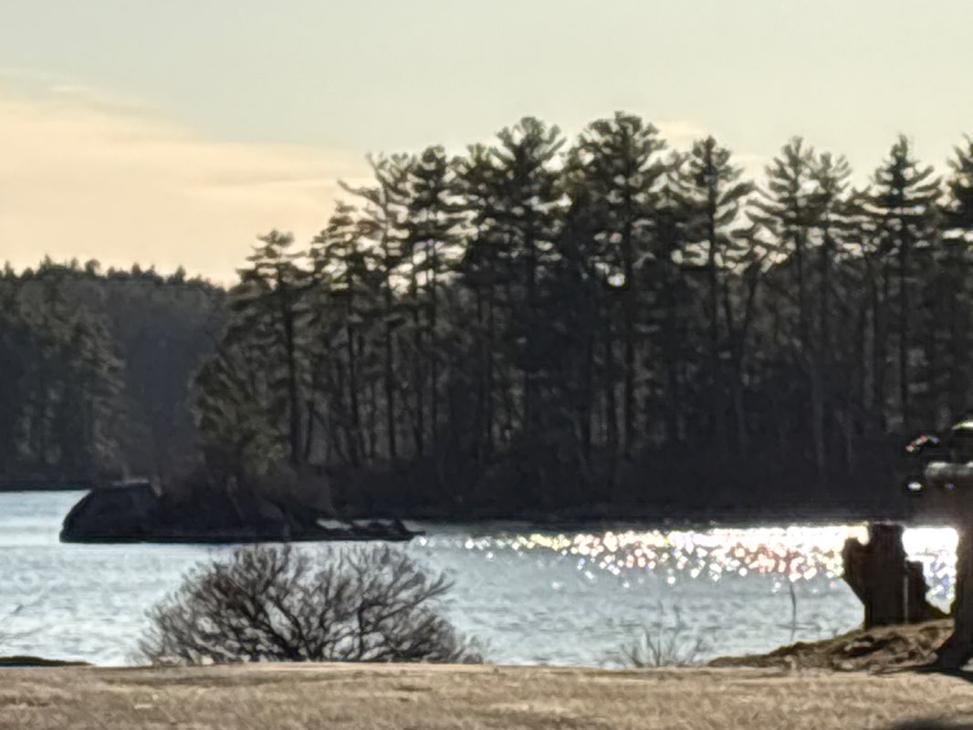 walking near me in Town Beach in spring