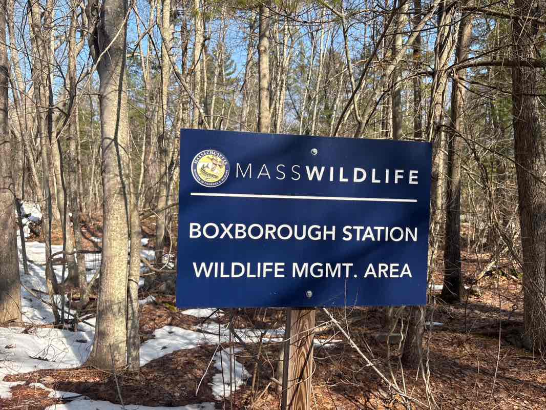 walking near me in Boxborough Station Natural Heritage Area in spring