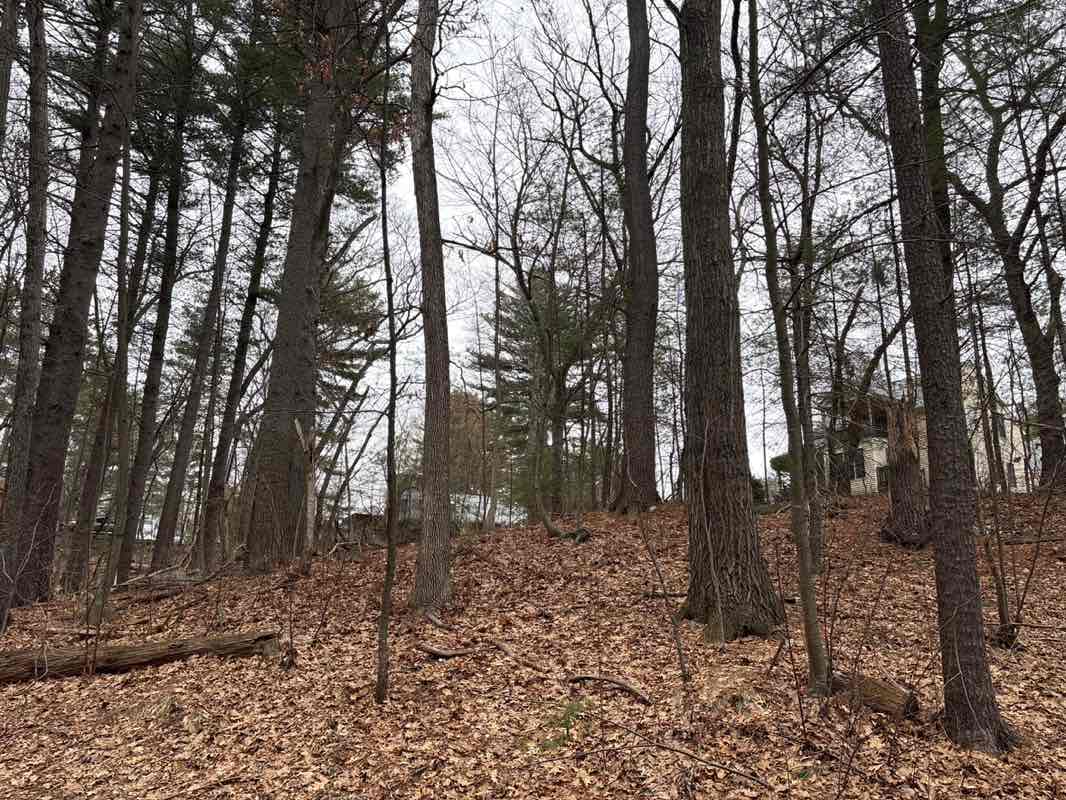 walking near me in White Pond Well Site in spring