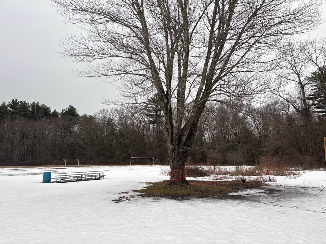 walking near me in Rockland Soccer Fields in spring