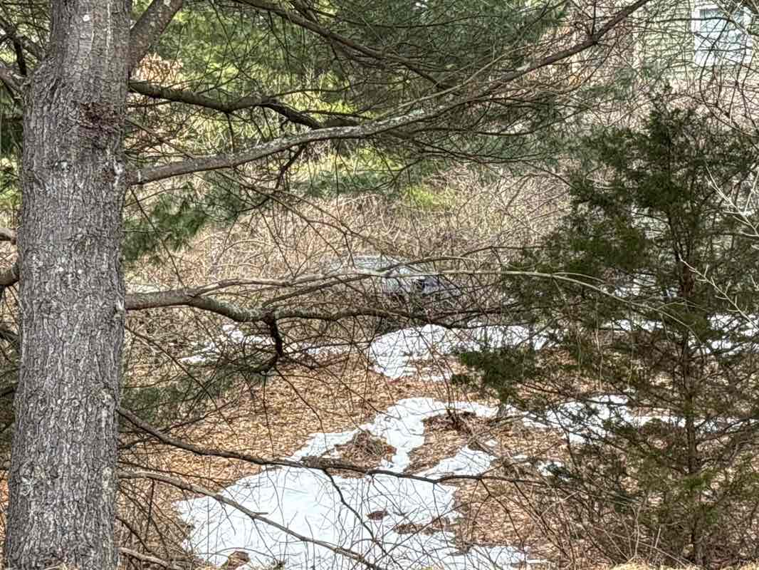 walking near me in Deerfield OS in spring