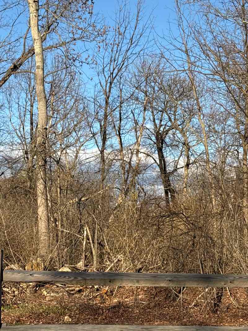 walking near me in 300 King Street Park in spring