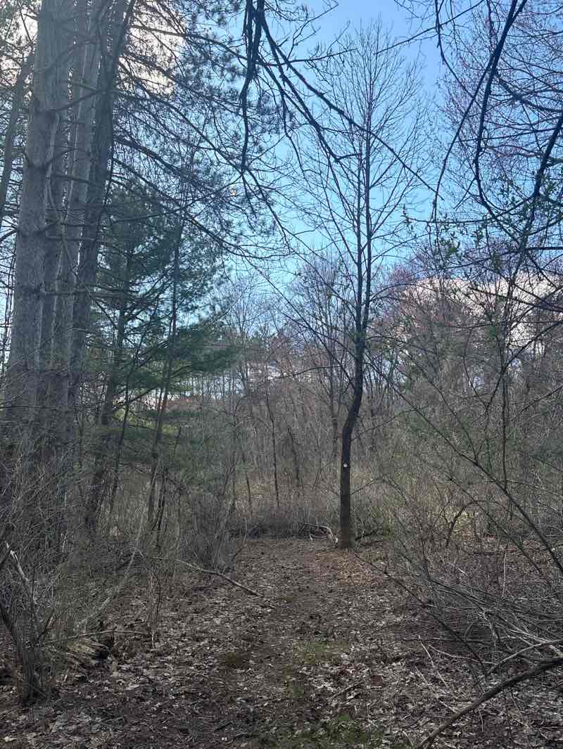 walking near me in Hallenbeck Land in spring