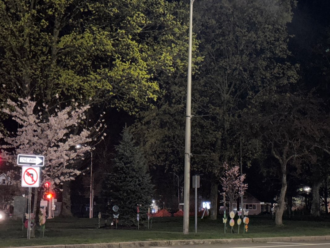 walking near me in Littleton Common in spring