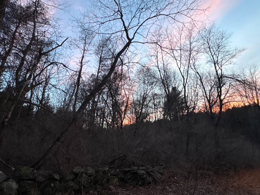 walking near me in Reed-Powell Land in spring