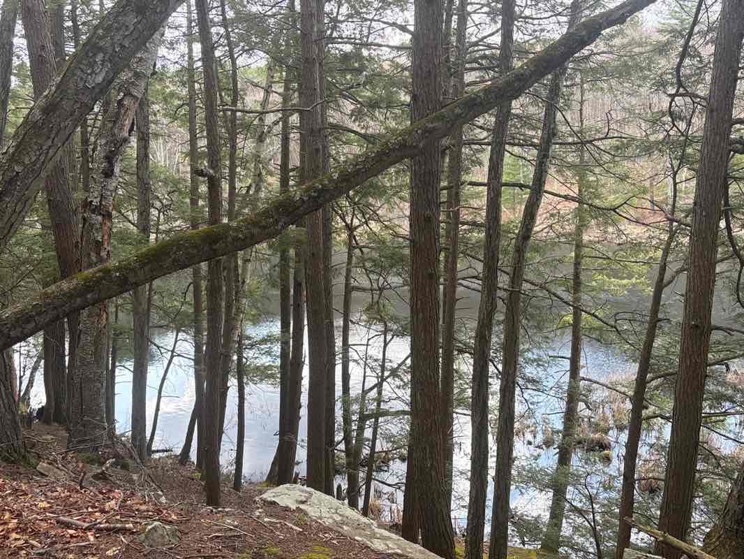 walking near me in Black Pond in spring