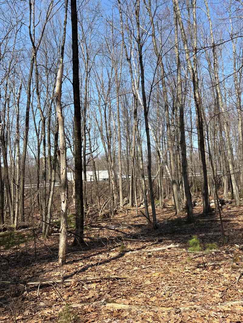 walking near me in Shaker Springhouse in spring