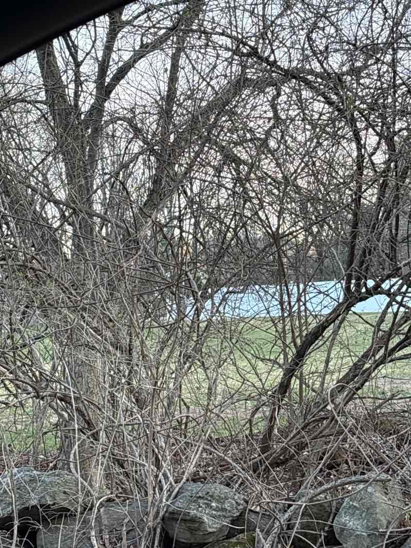 walking near me in Annie Moore Land in spring