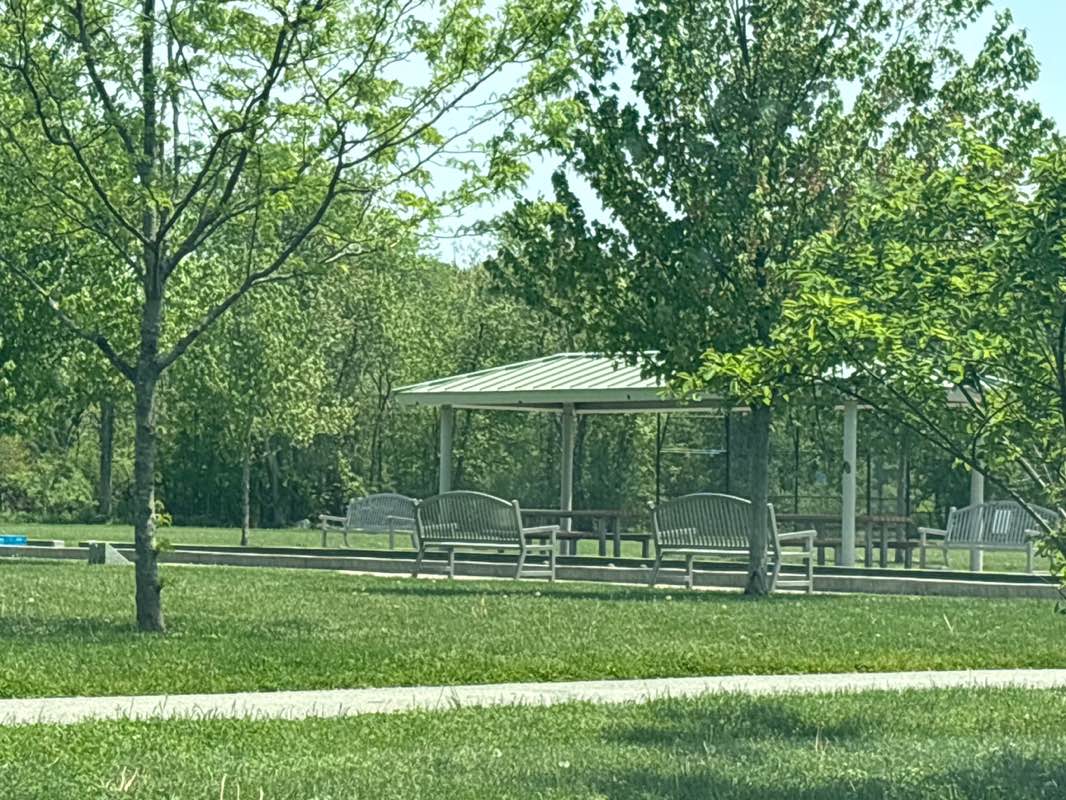 walking near me in Graverson Playground in summer