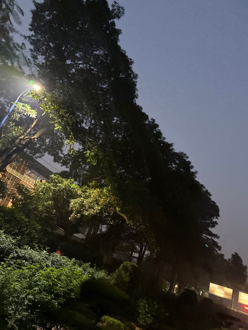 walking near me in Dusshera Ground Model Town in autumn