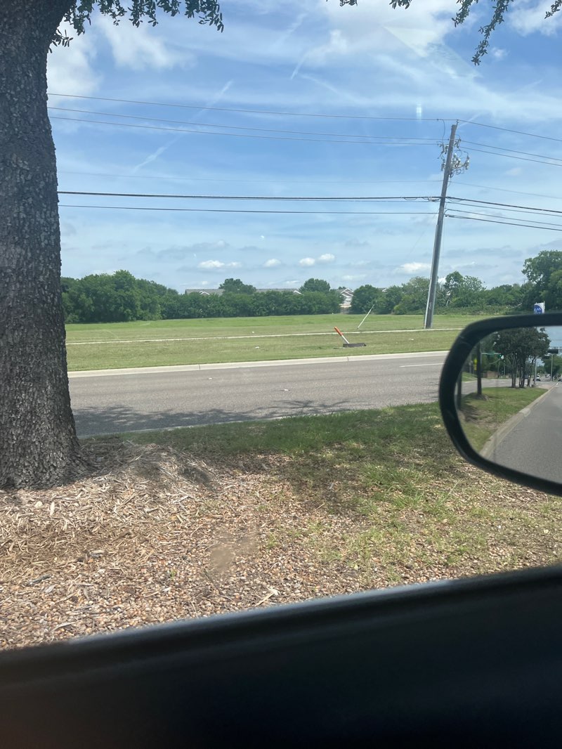 walking near me in Bluebonnet Trail Park in spring