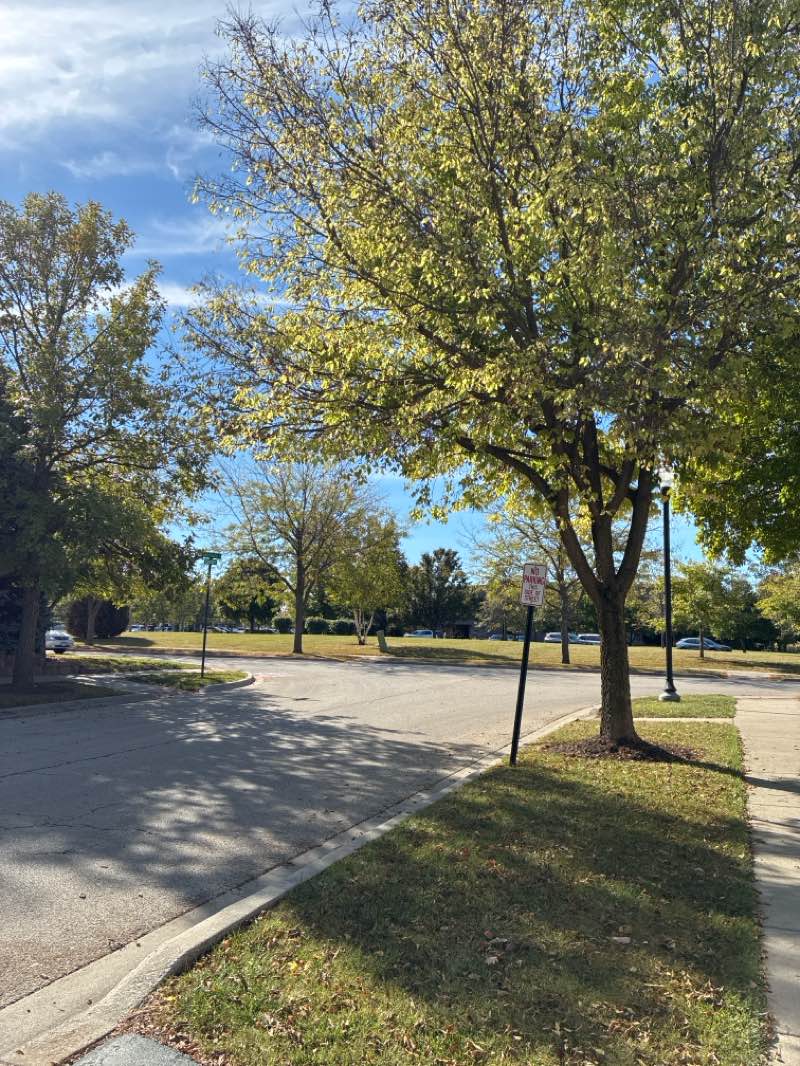 walking near me in James "Pate" Philip State Park in autumn