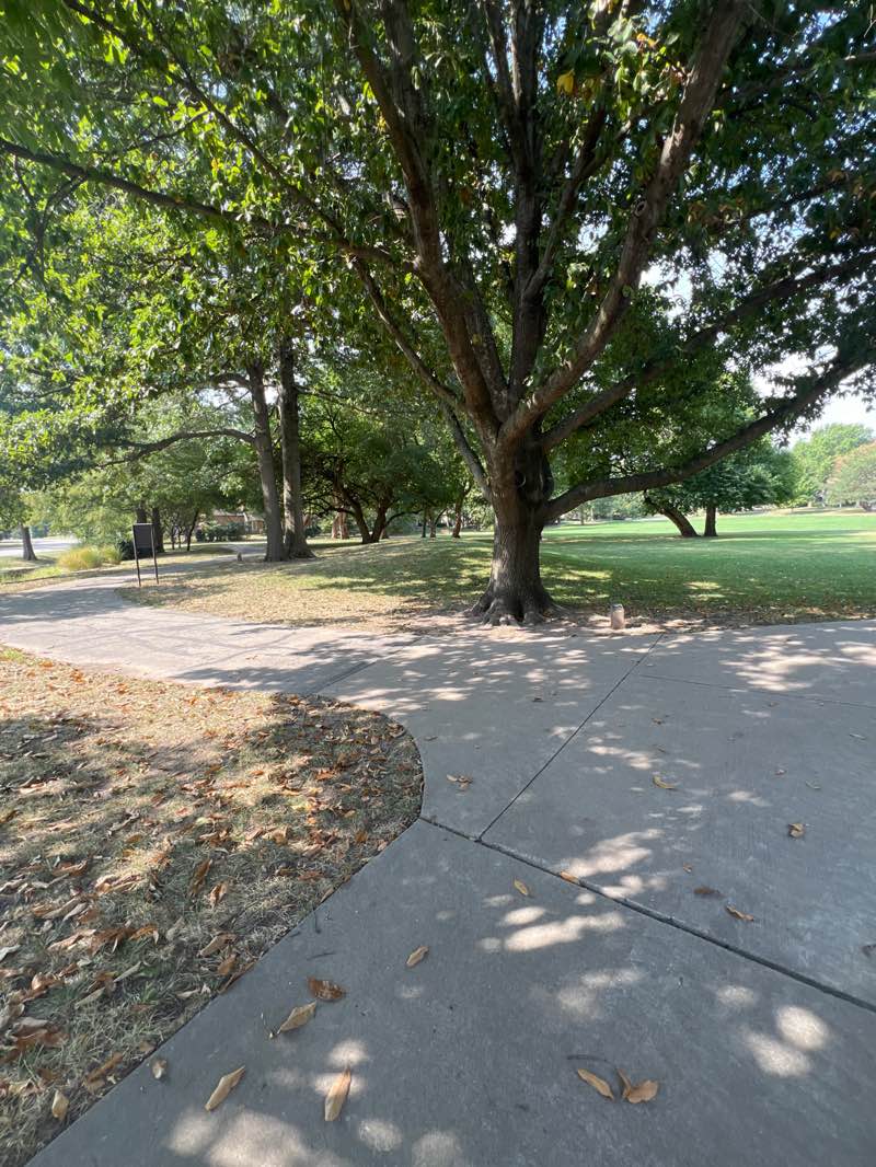 walking near me in Franklin Park in autumn