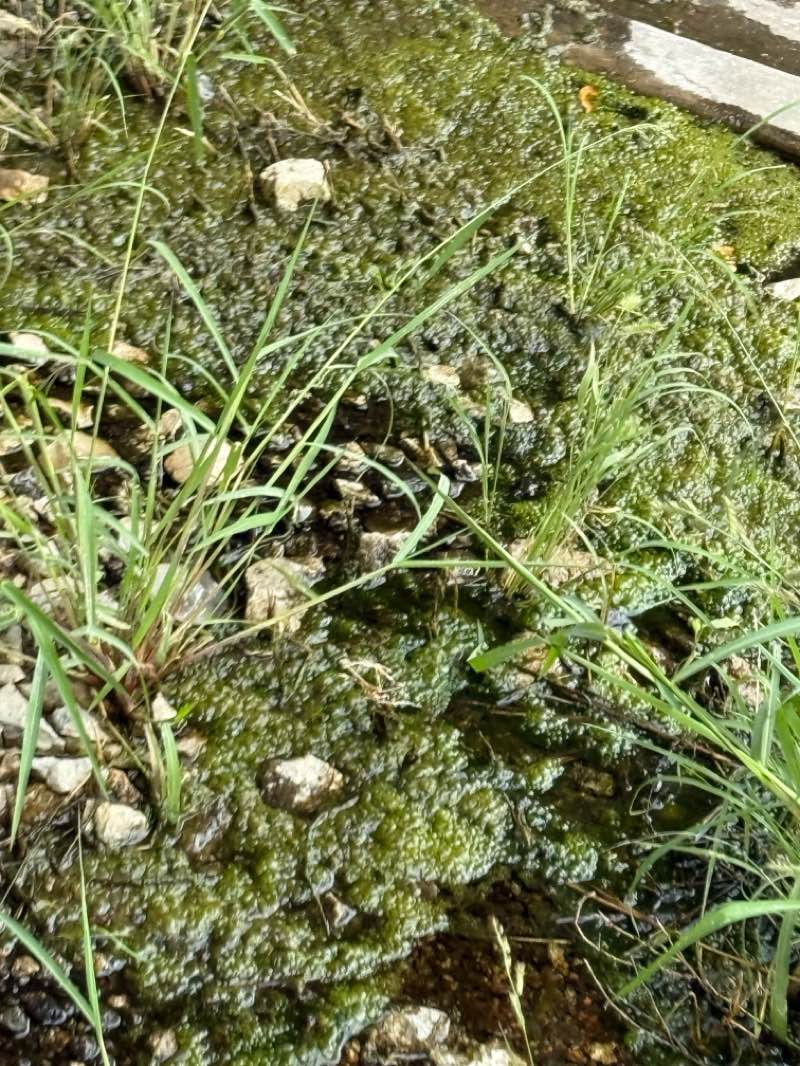walking near me in Dahlman Park in autumn